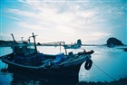 dailyPhoto5
